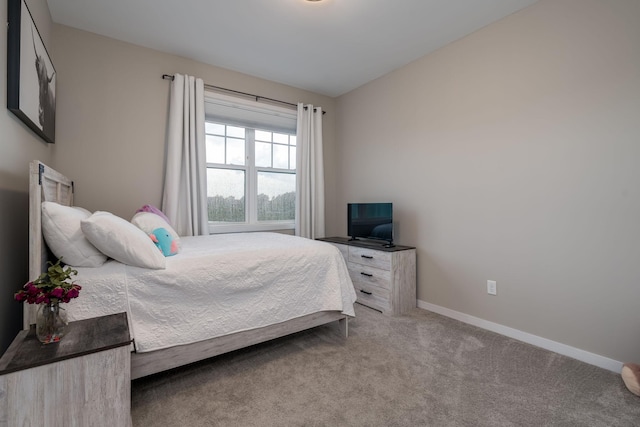 422 Ford St E, Northfield, MN 55057 - bedroom featuring baseboards and carpet floors
