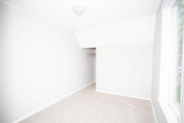 1011 Minnehaha Ave E, Saint Paul, MN 55106 - photo 33