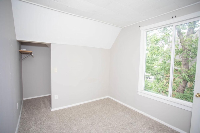 1011 Minnehaha Ave E, Saint Paul, MN 55106 - photo 34