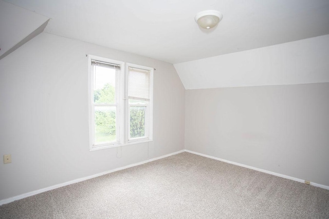 1011 Minnehaha Ave E, Saint Paul, MN 55106 - photo 36