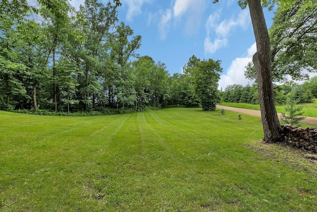 18918 County Road 54, Albany, MN 56307 - photo 54