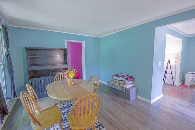 3558 13th Ave SE, Saint Cloud, MN 56304 - photo 9