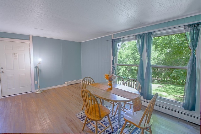 3558 13th Ave SE, Saint Cloud, MN 56304 - photo 10