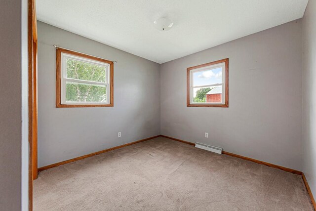 307 Dove St, Minnesota Lake, MN 56068 - photo 16