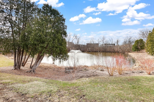 205 Barry Ave S Unit 208, Wayzata, MN 55391 - water view