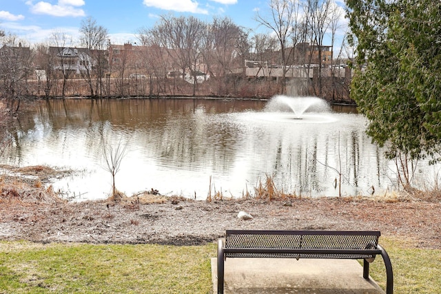 205 Barry Ave S Unit 208, Wayzata, MN 55391 - water view