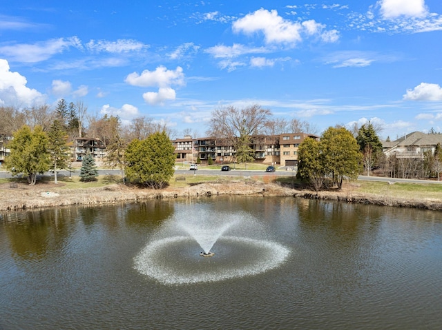 205 Barry Ave S Unit 208, Wayzata, MN 55391 - water view