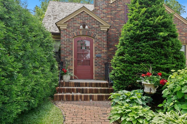825 5th Ave SW, Faribault, MN 55021 - property entrance featuring brick siding
