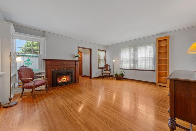825 5th Ave SW, Faribault, MN 55021 - living area with light wood-type flooring and a glass covered fireplace