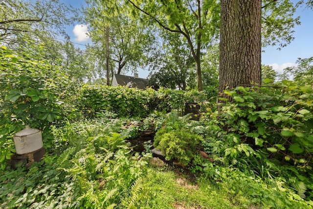 825 5th Ave SW, Faribault, MN 55021 - view of nature