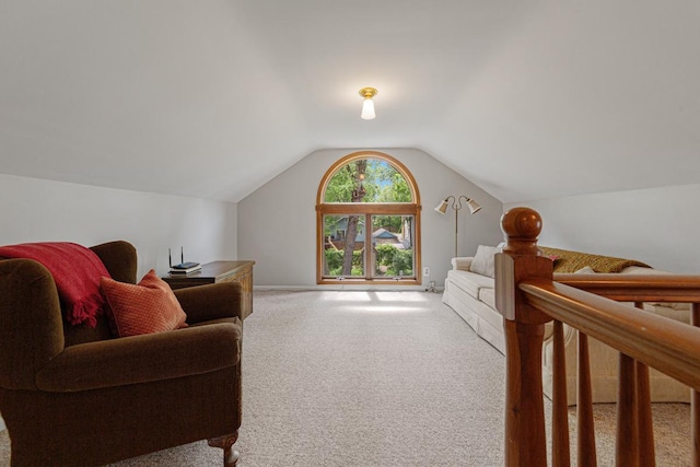 825 5th Ave SW, Faribault, MN 55021 - sitting room with carpet and lofted ceiling