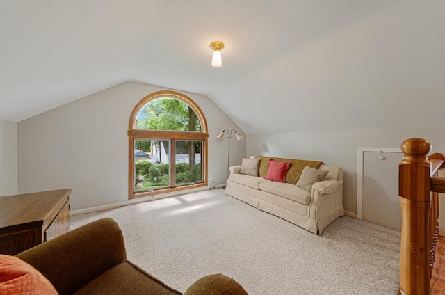 825 5th Ave SW, Faribault, MN 55021 - living area featuring carpet and vaulted ceiling