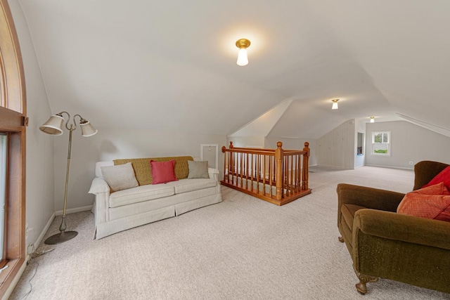 825 5th Ave SW, Faribault, MN 55021 - living room featuring carpet flooring and lofted ceiling