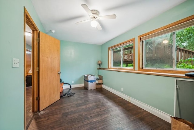 26343 10th St W, Zimmerman, MN 55398 - unfurnished office featuring healthy amount of natural light, wood finished floors, and a ceiling fan