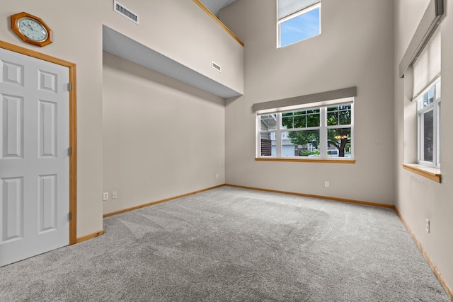 20354 Kensfield Trl Unit 1403, Lakeville, MN 55044 - spare room featuring carpet floors and a high ceiling