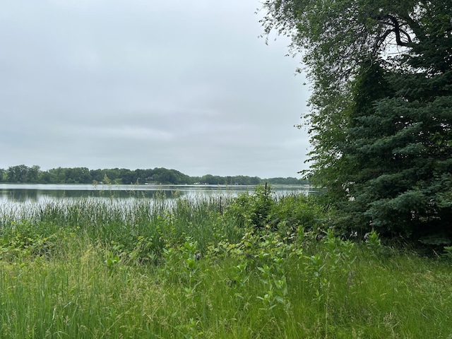 4705 Crofoot Ave NW, Buffalo, MN 55313 - photo 2