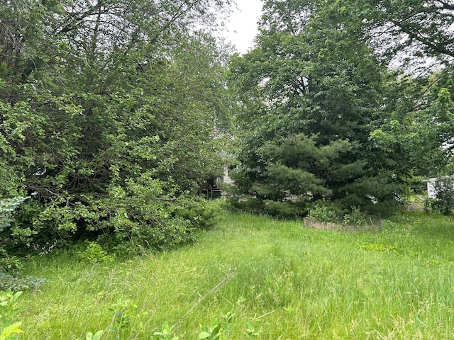 4705 Crofoot Ave NW, Buffalo, MN 55313 - photo 4