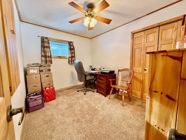 51879 186th Pl, Mcgregor, MN 55760 - photo 17