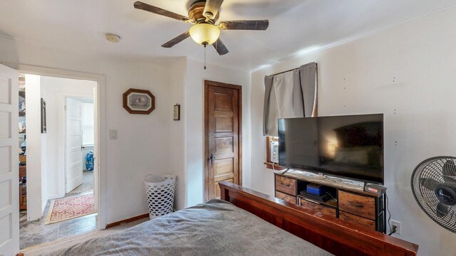 709 Rochelle Ave S, Lanesboro, MN 55949 - photo 19