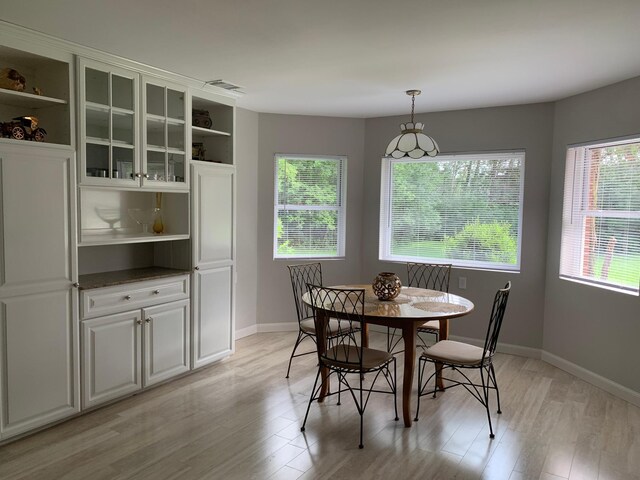 3901 125th Ave NE, Blaine, MN 55449 - photo 54