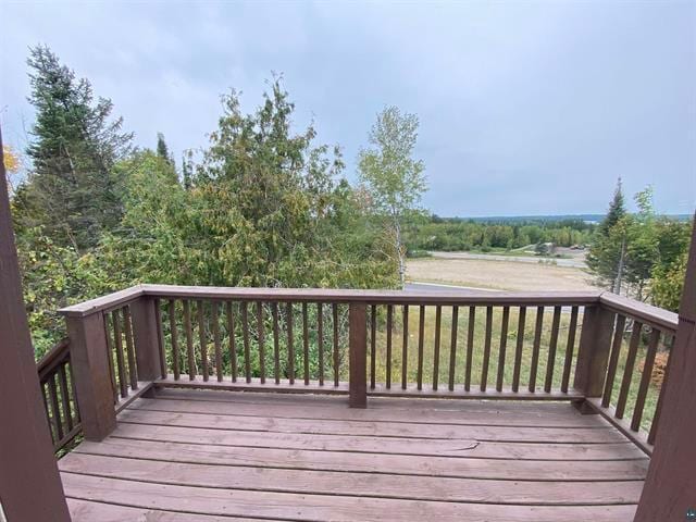 355 Harvey St, Ely, MN 55731 - view of deck