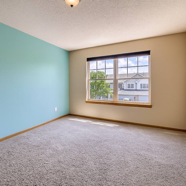 11182 204th St W Unit 908, Lakeville, MN 55044 - empty room featuring carpet floors and a textured ceiling