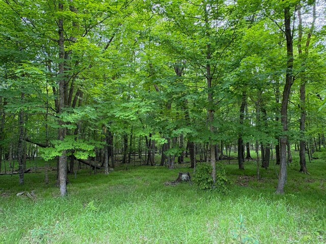 7007 Sugar Ct NE, Bemidji, MN 56601 - photo 16