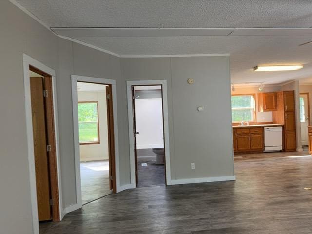 19531 Explorer Trl, Todd Twp, MN 56470 - unfurnished living room with dark wood-style flooring, a textured ceiling, and crown molding