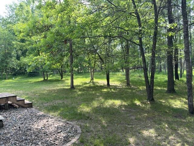 19531 Explorer Trl, Todd Twp, MN 56470 - view of yard