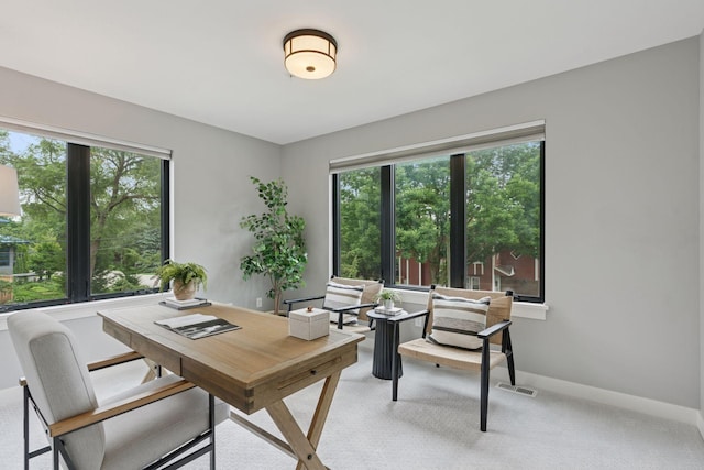 2820 Saint Louis Ave, Minneapolis, MN 55416 - carpeted office with baseboards