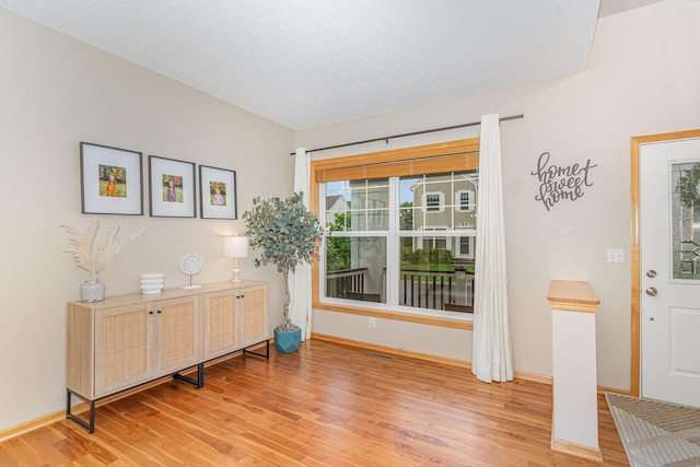 15265 Dupont Path, Apple Valley, MN 55124 - entrance foyer with light wood-style floors