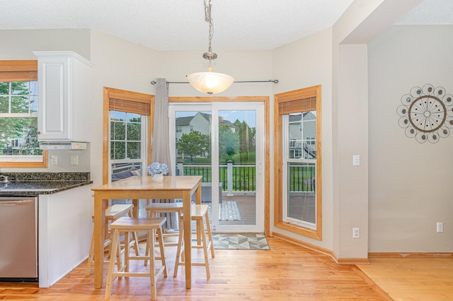 15265 Dupont Path, Apple Valley, MN 55124 - dining area featuring light wood-style floors, plenty of natural light, and a textured ceiling
