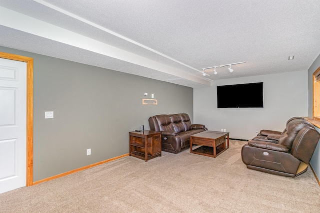 15265 Dupont Path, Apple Valley, MN 55124 - living area with carpet, track lighting, and a textured ceiling