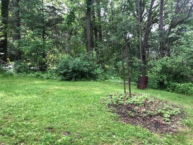 300 Whittier St W, Lanesboro, MN 55949 - view of grassy yard featuring a forest view