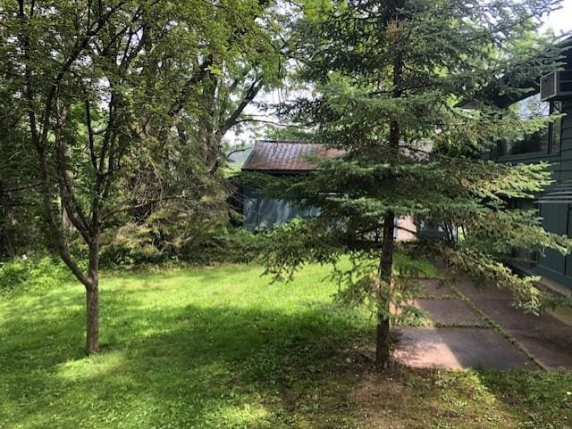 300 Whittier St W, Lanesboro, MN 55949 - view of green lawn