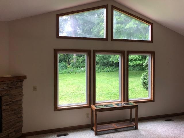 300 Whittier St W, Lanesboro, MN 55949 - detailed view of carpet flooring
