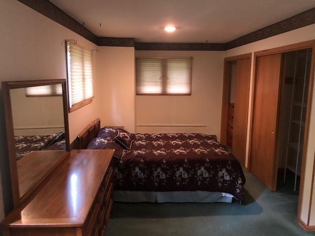 300 Whittier St W, Lanesboro, MN 55949 - carpeted bedroom featuring multiple closets