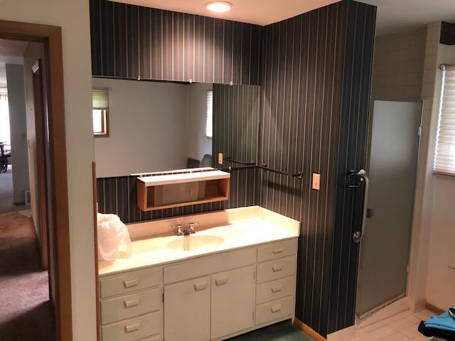300 Whittier St W, Lanesboro, MN 55949 - bathroom featuring vanity and an enclosed shower