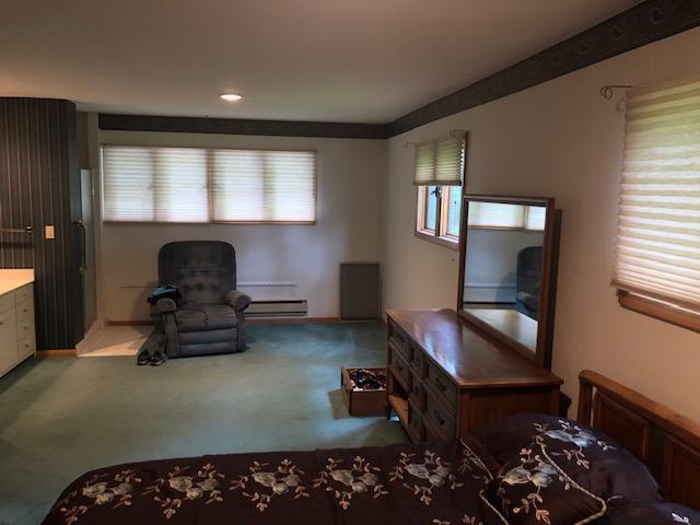 300 Whittier St W, Lanesboro, MN 55949 - living room with carpet flooring and a baseboard heating unit