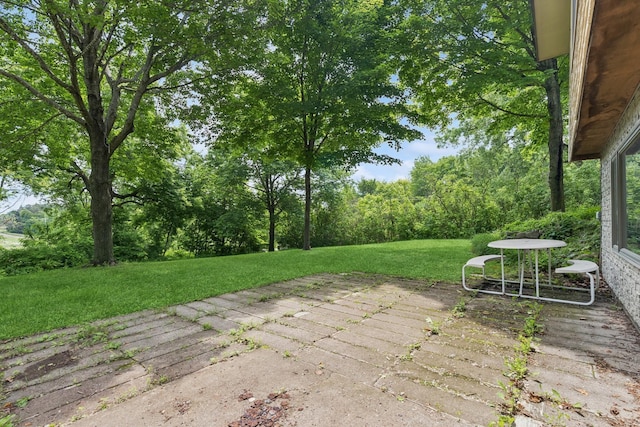 1640 95th St SE, Delano, MN 55328 - photo 39