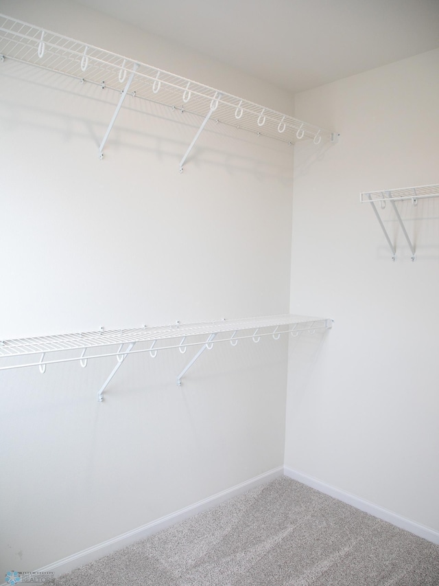 7901 Lost River Rd, Horace, ND 58047 - walk in closet with carpet flooring