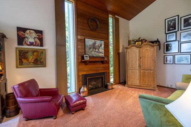1409 Weatherhill Ct SW, Rochester Twp, MN 55902 - photo 17