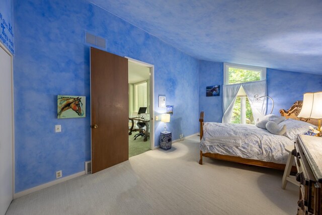 1409 Weatherhill Ct SW, Rochester Twp, MN 55902 - photo 71