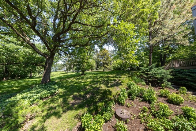 1409 Weatherhill Ct SW, Rochester Twp, MN 55902 - photo 94