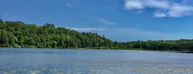 17136 Hidden Lake Rd, Fifty Lakes, MN 56448 - water view featuring a forest