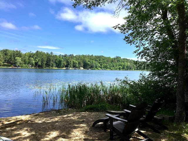 17136 Hidden Lake Rd, Fifty Lakes, MN 56448 - water view with a heavily wooded area