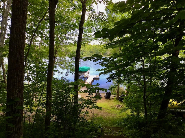 17136 Hidden Lake Rd, Fifty Lakes, MN 56448 - water view with a floating dock