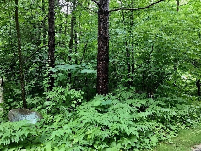 17136 Hidden Lake Rd, Fifty Lakes, MN 56448 - view of wooded area