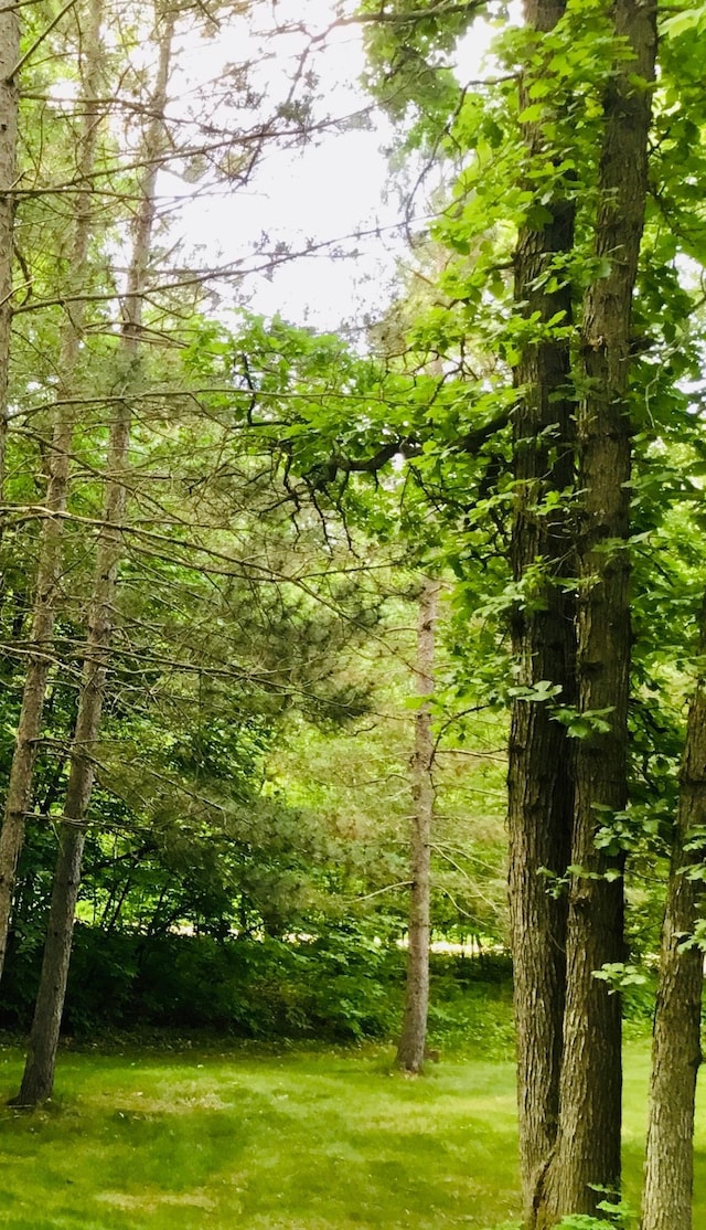 17136 Hidden Lake Rd, Fifty Lakes, MN 56448 - view of wooded area