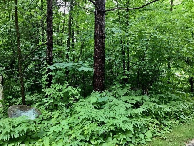 17136 Hidden Lake Rd, Fifty Lakes, MN 56448 - photo 26